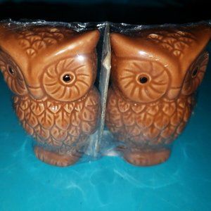 NEW! Brown Glass Owl Figurine Owl Salt & Pepper Shakers Table Dinner Ware 1018CC